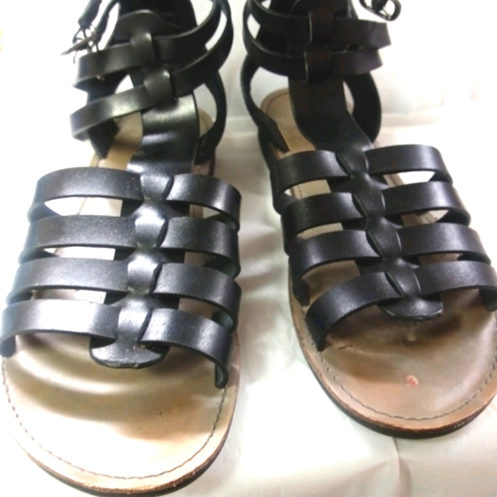 Gladiator Saddles